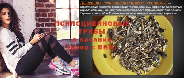 круглые Абаза
