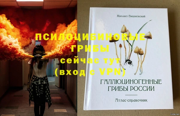 хмурый Абинск