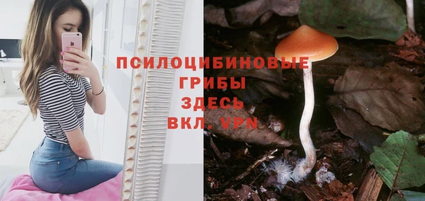 круглые Абаза