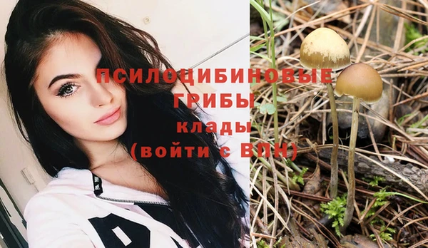 круглые Абаза