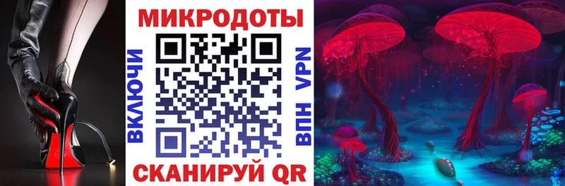 купить наркотики сайты  Щёлкино  Псилоцибиновые грибы MAGIC MUSHROOMS 
