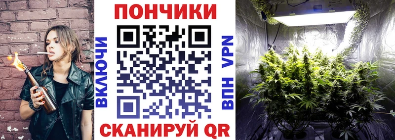Каннабис OG Kush  гидра ссылка  Щёлкино 